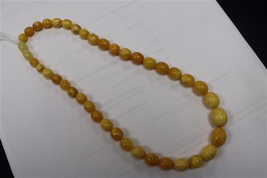 A single strand graduated amber bead necklace, gross weight 19 grams, 38cm.
